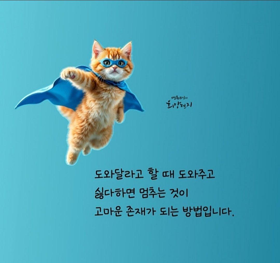 images/feeds/a4d116acda234b3692b2af8c47ca3753