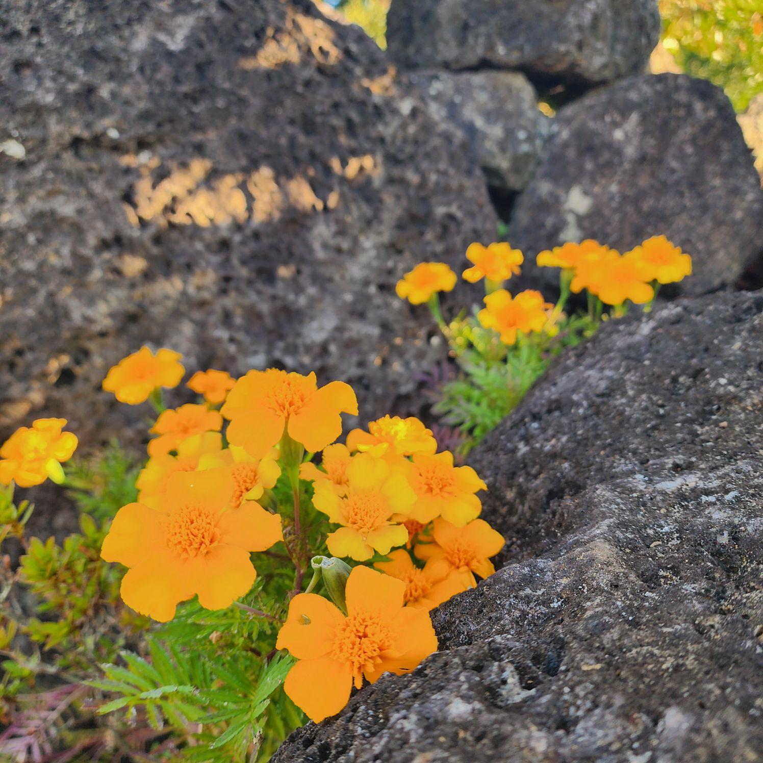 images/feeds/a634d23d1b73466aaef643bf92db4dec