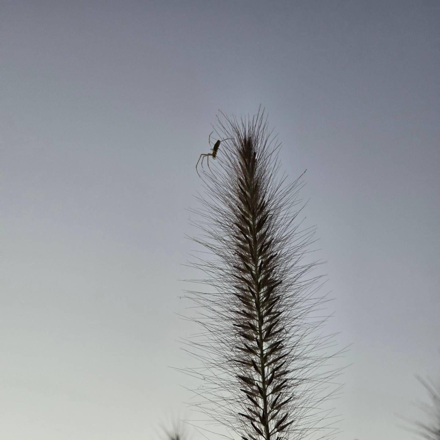 images/feeds/aacc9b57384244dabebf0aaa8e2572de