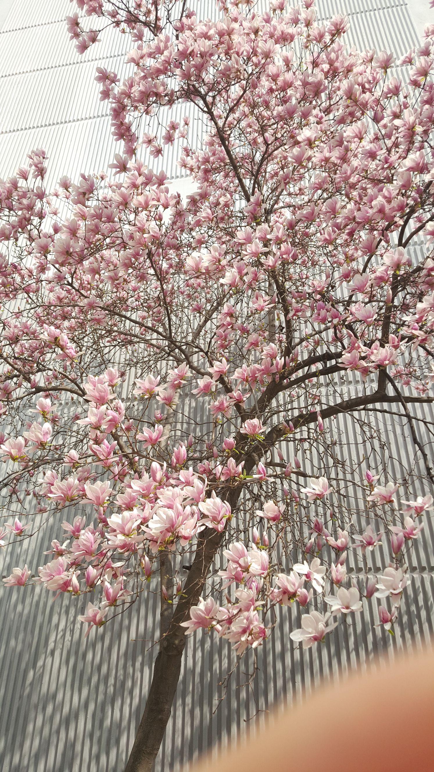 images/feeds/b8a1ef0feb7b72722c46e019ef30736d