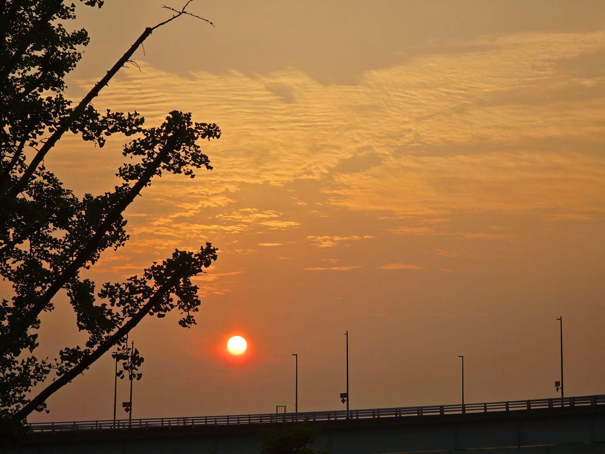 images/feeds/b966f438522f4228ad661030db516216