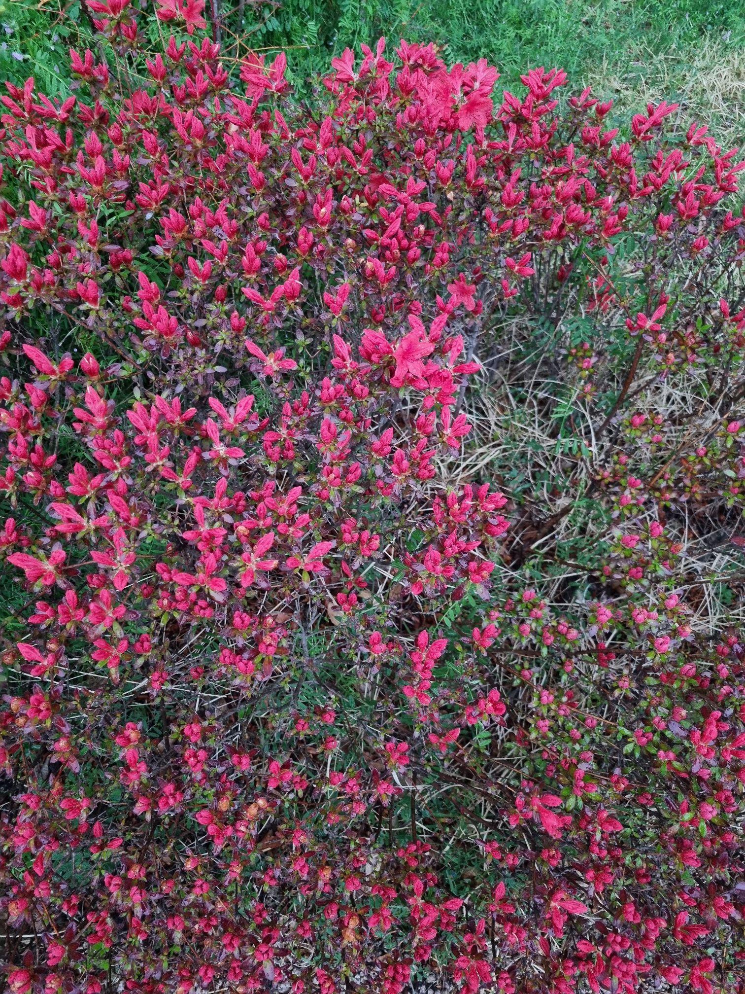 images/feeds/b9a3ddb59071405cbdc5b3b06d26b820