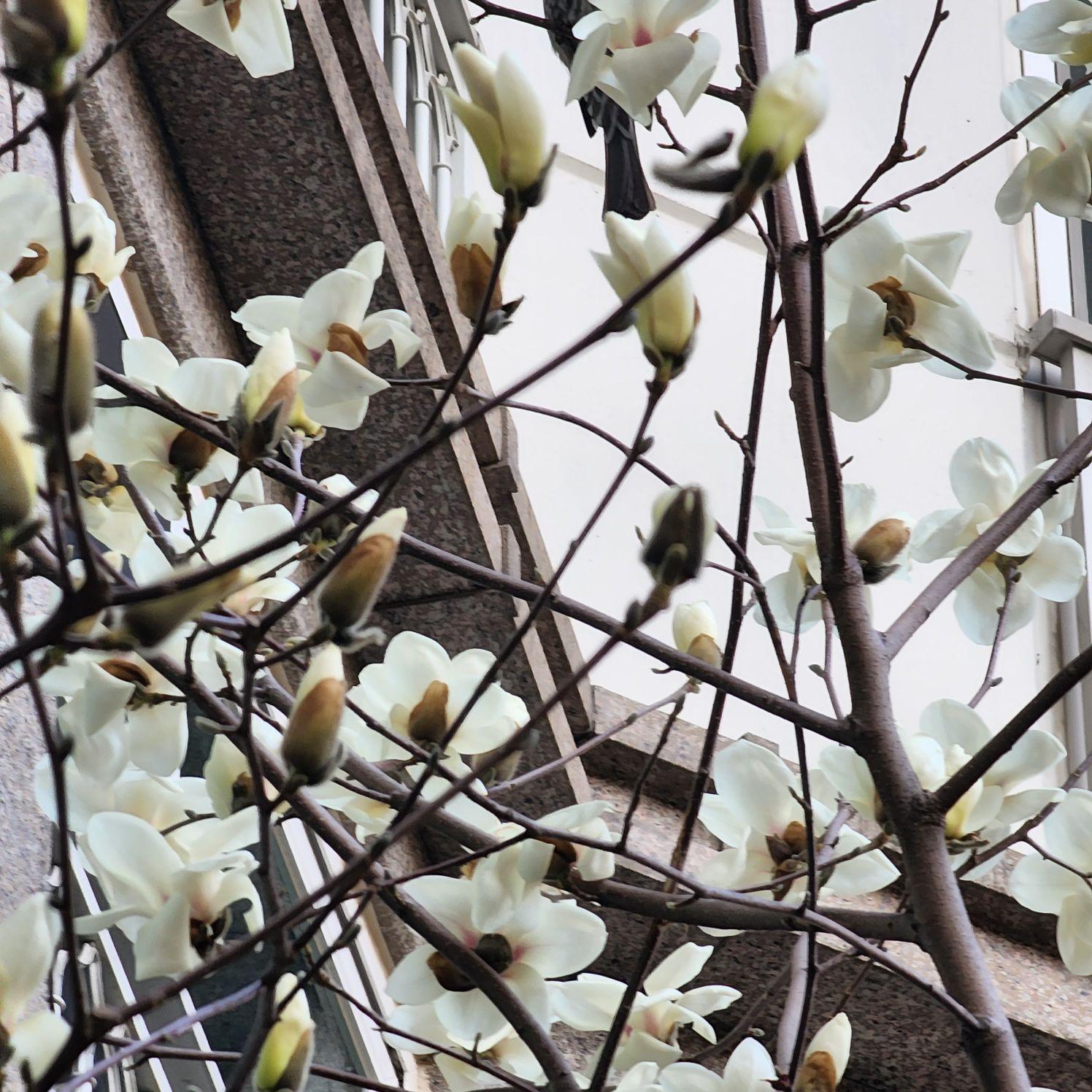 images/feeds/bd7623669a2f97fbfc465d01c9bf05fe