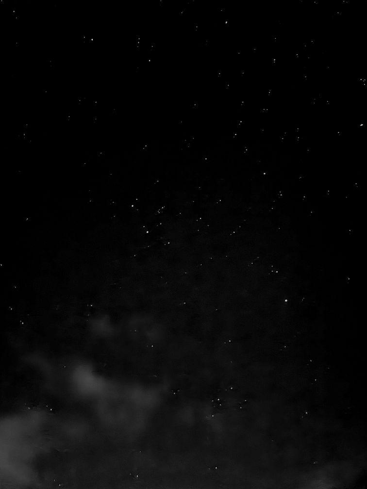 images/feeds/bf08ec6796c0e69031276787987b9df1