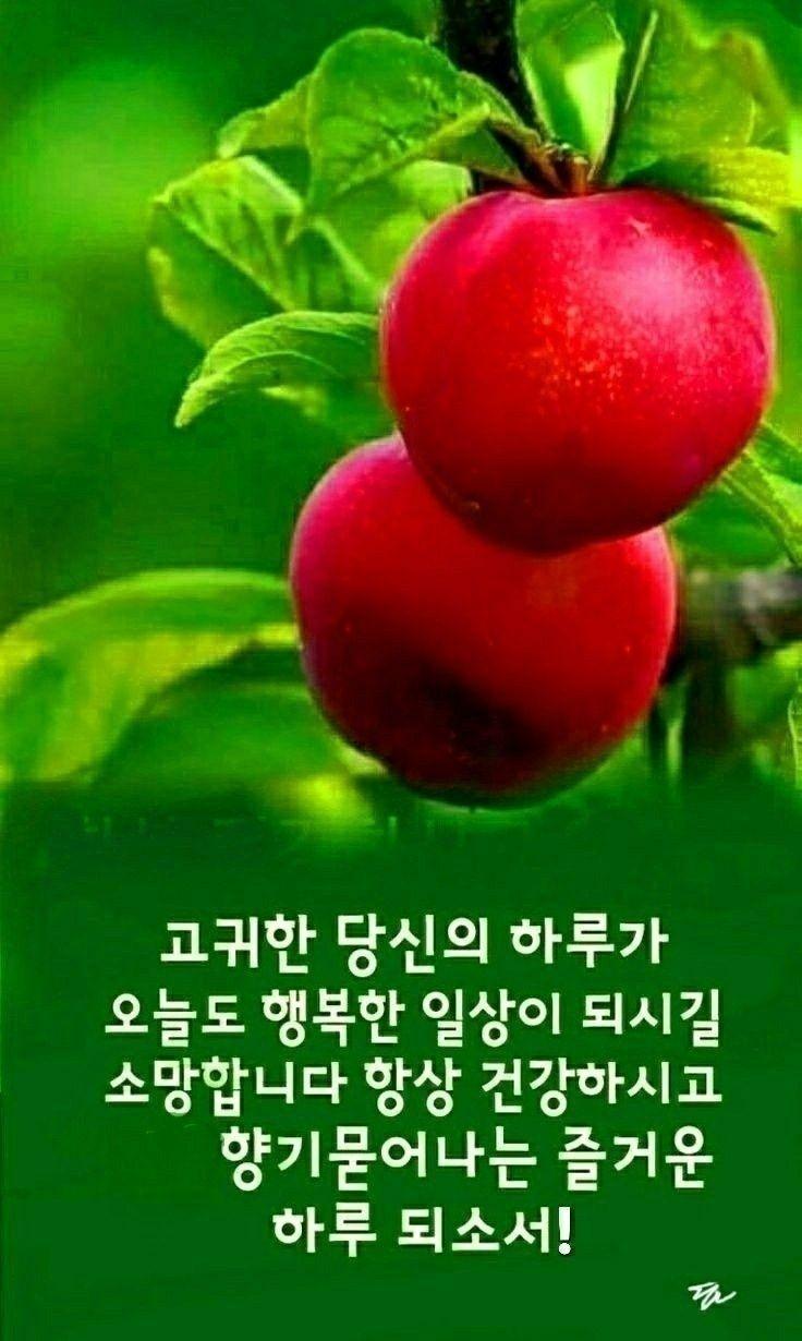 images/feeds/c60ea3c5edf1414d95bcdfefac8bcfb7