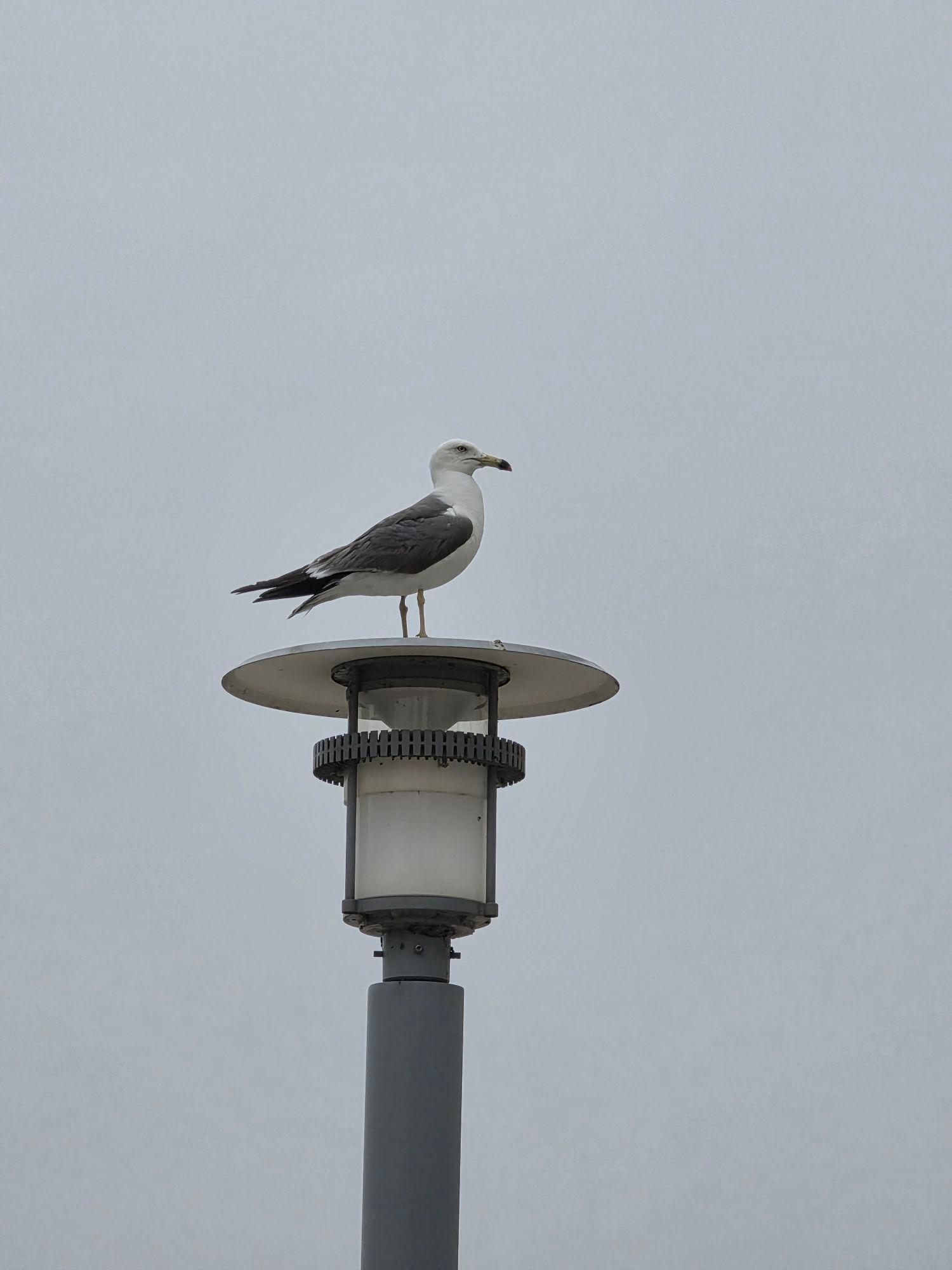 images/feeds/c72a817432e2442a916f770b662adcc2