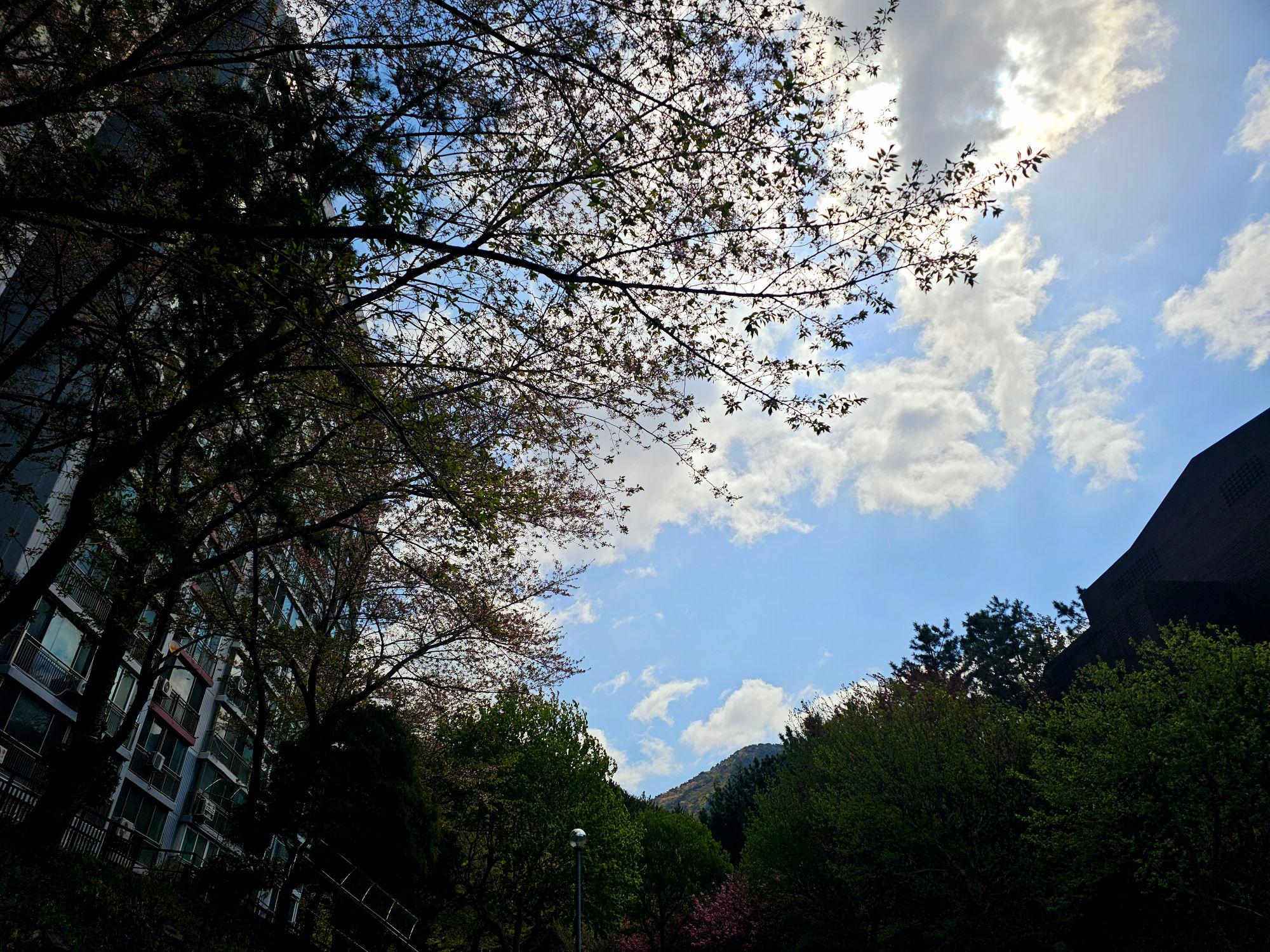 images/feeds/cbe158d355fb4af880e6fd164788f8bc