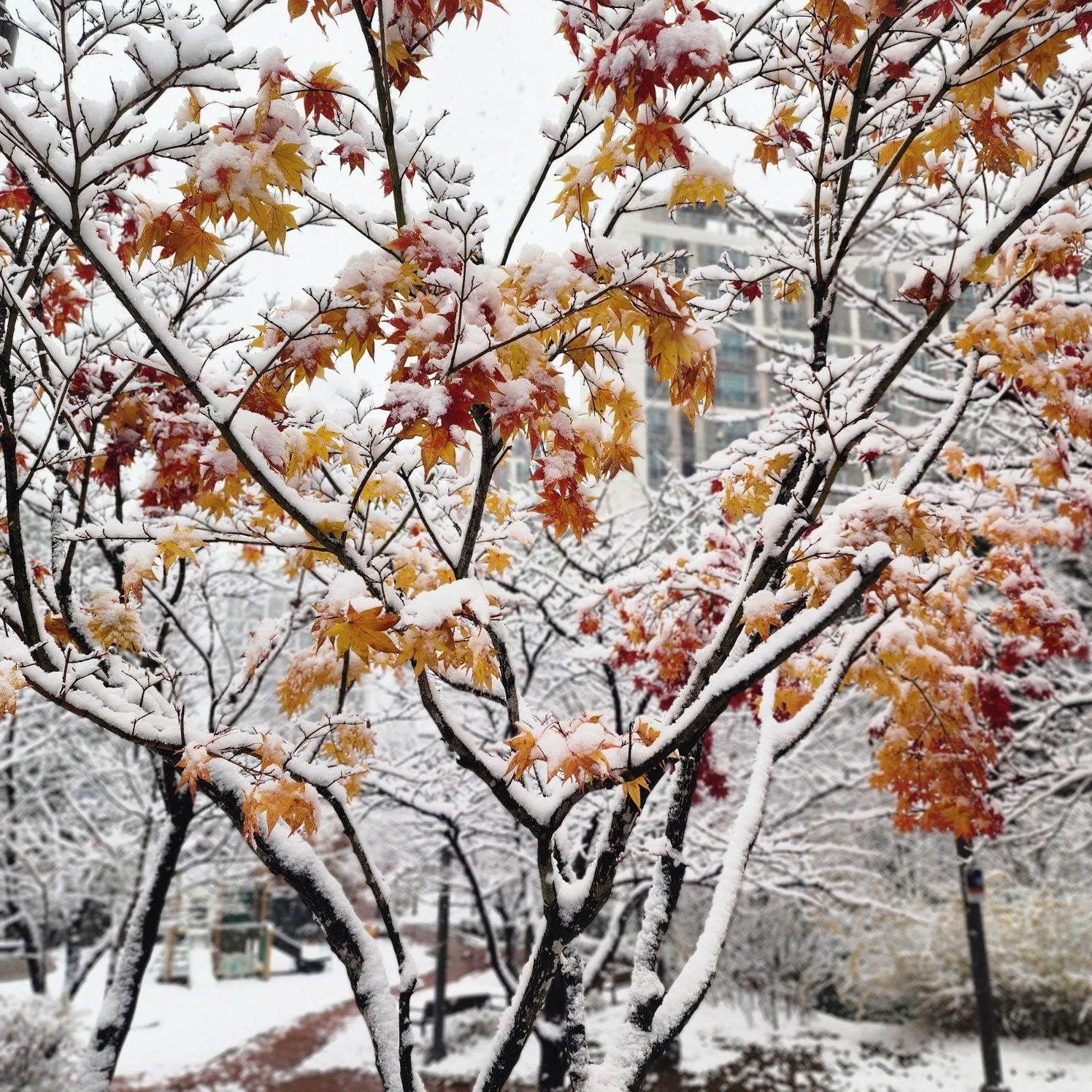 images/feeds/d29969b76f7e4c37801d549681362018