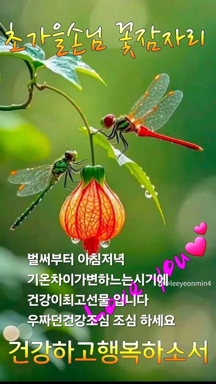 images/feeds/d783ef3fbe8841fc9cd9b8b29924666d