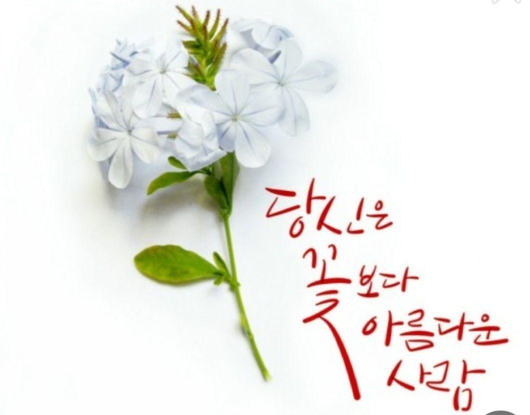images/feeds/dd3c48884c853cdfa0d425eeb89b64f9