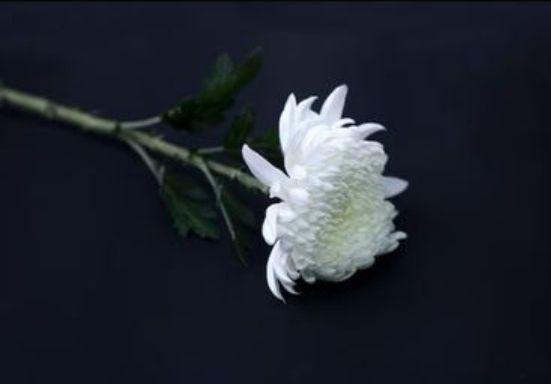 images/feeds/dfe5098a6b9940c08ef07dc9f083a1f2