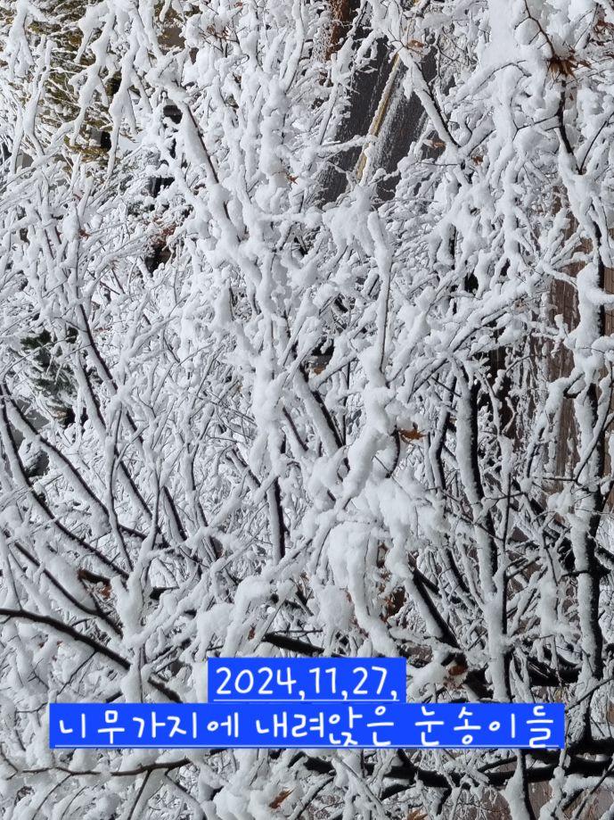 images/feeds/e7db2f16ed02441b9e7ad2203678676e