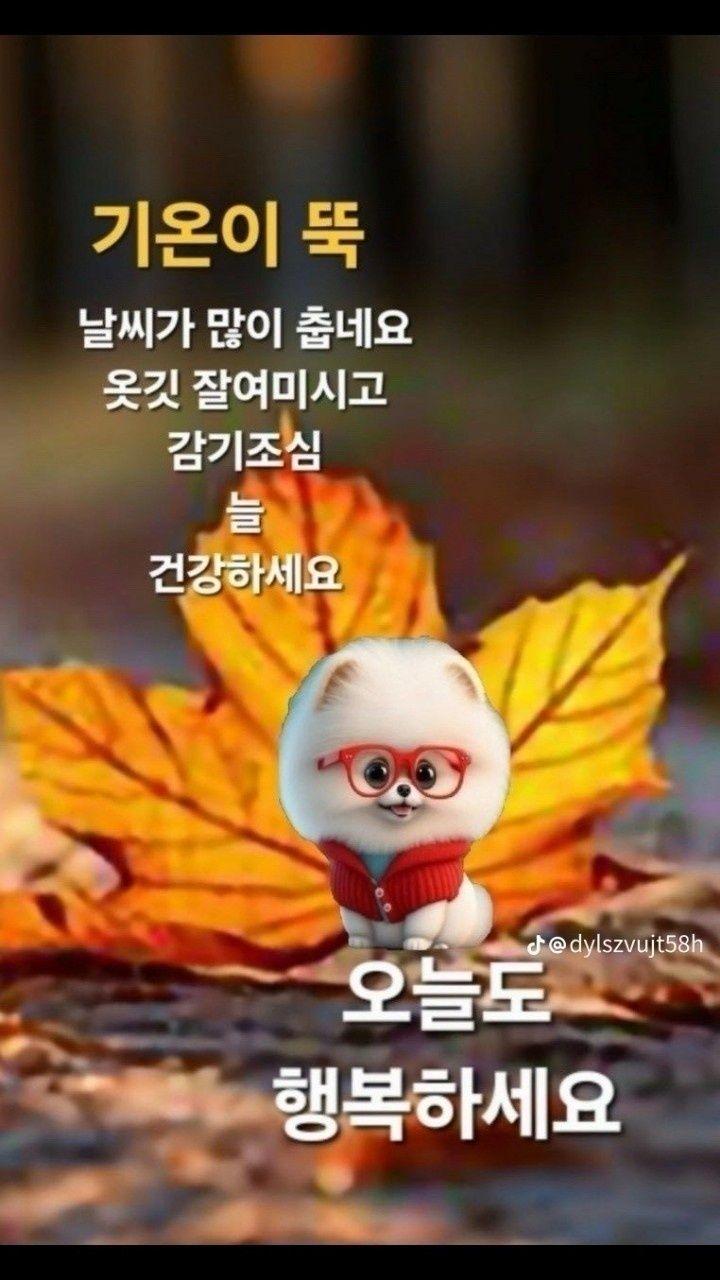 images/feeds/e84b92b32c4c4dc28820901da9fc23ca