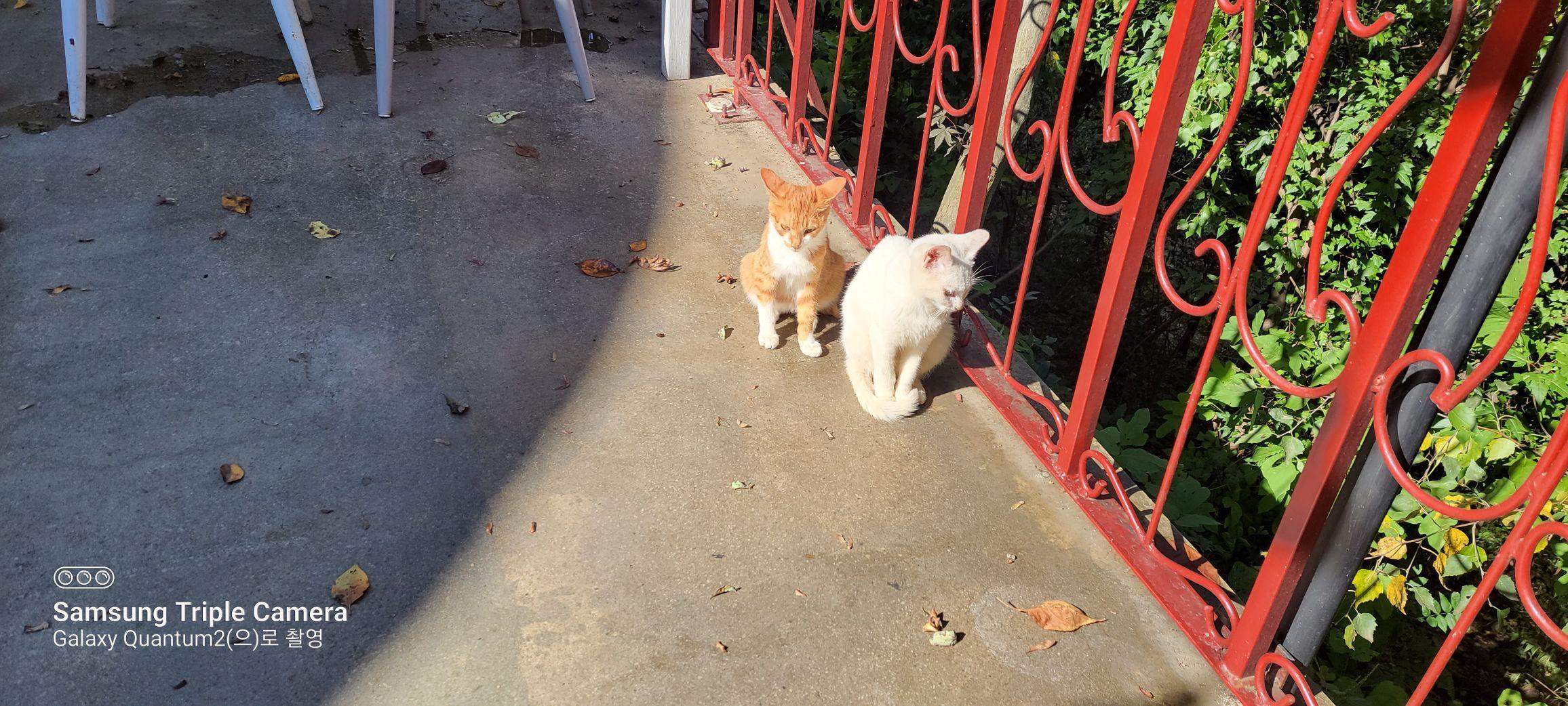 images/feeds/ea2a2880c8274faea11b4c3673f6ffed