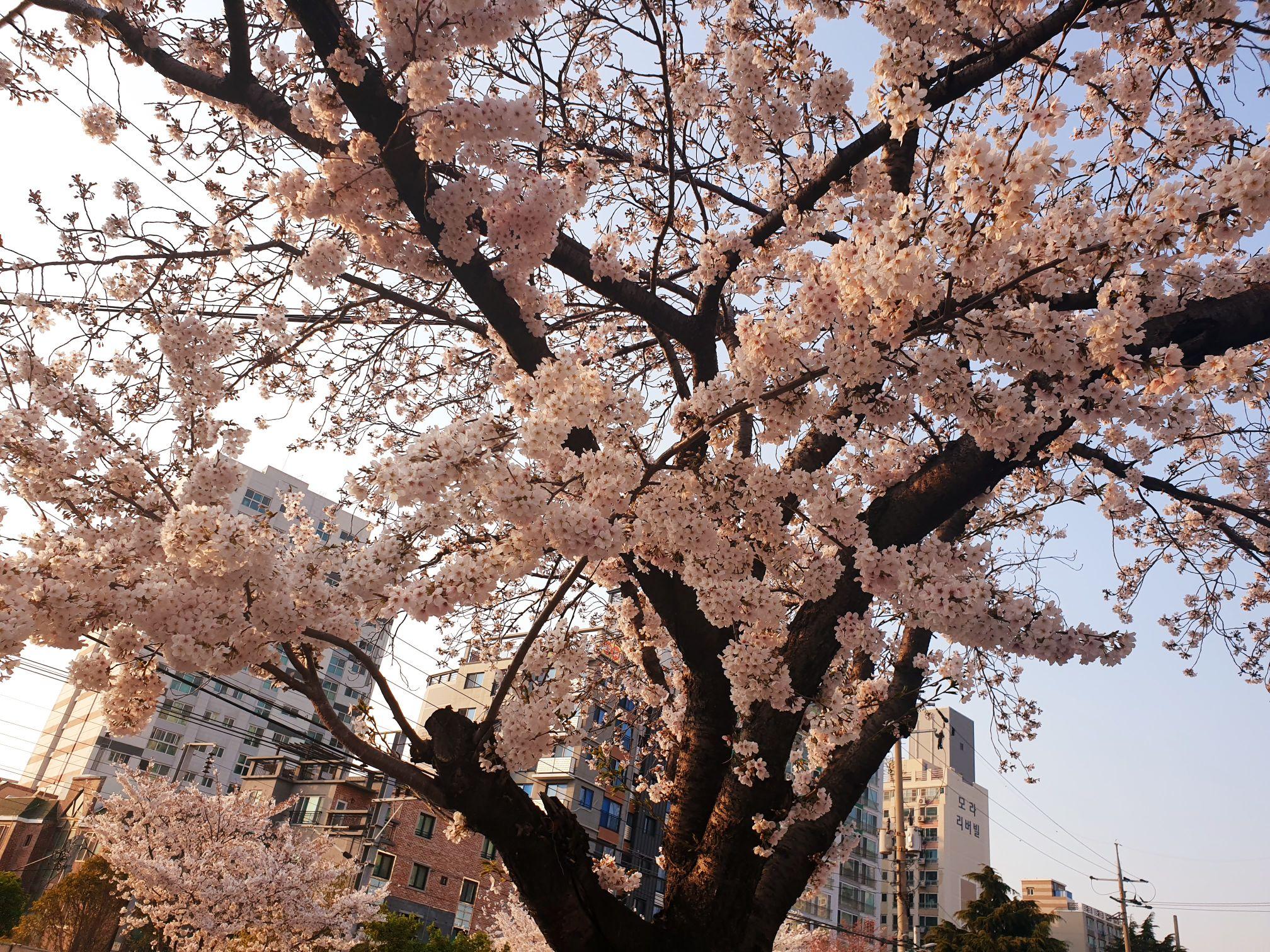 images/feeds/eb8ce0c29a789389b0d509301b292c83