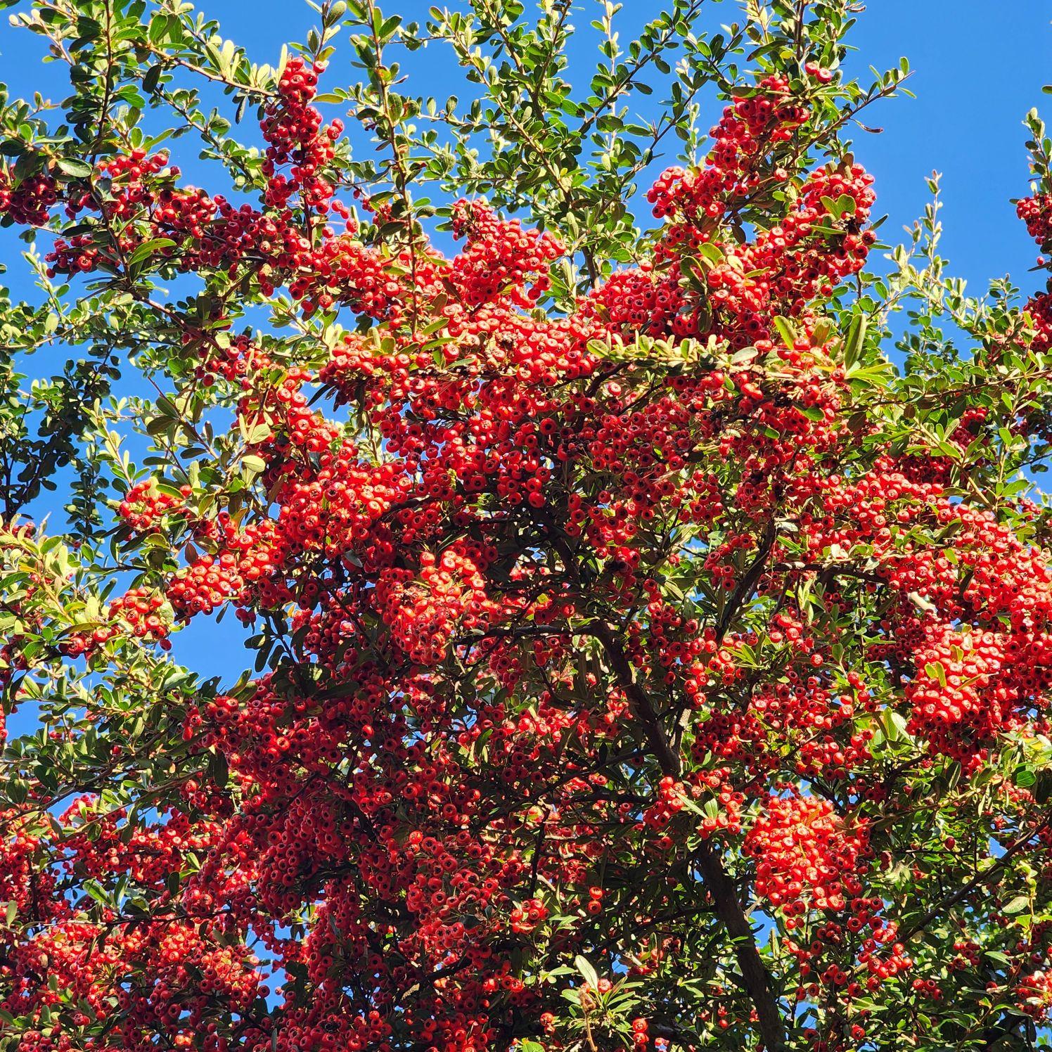 images/feeds/ecb29b8c43dd4a5c9b92d8e81aea03af