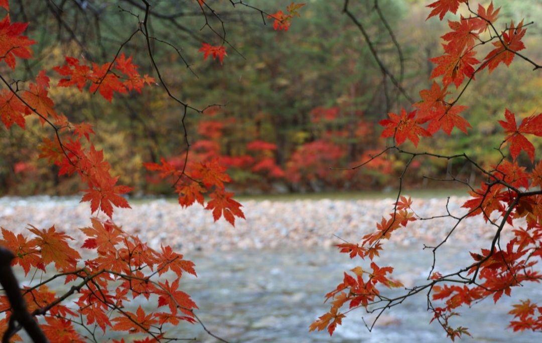 images/feeds/f3bbde8078a44f20a845d4ece3e22958