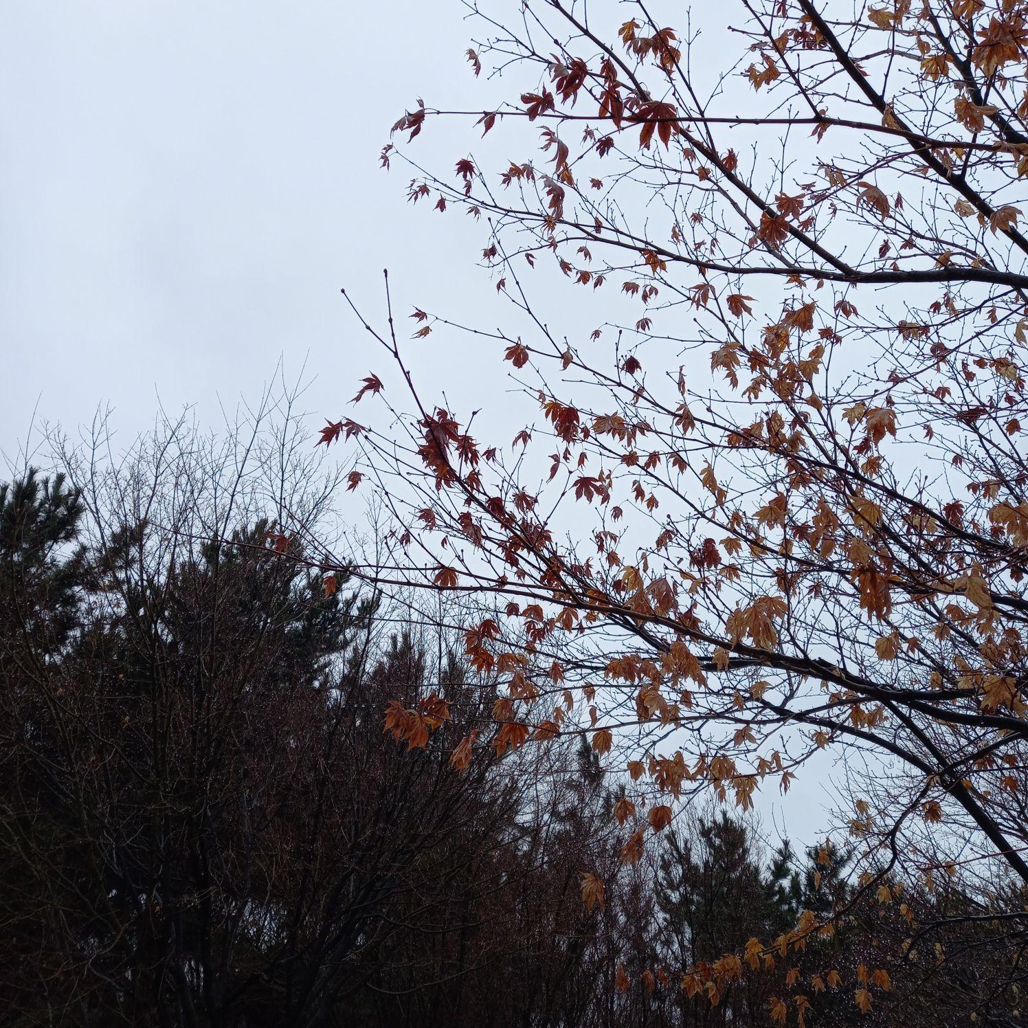 images/feeds/f89e1d2d2ffd739f4904b771f3e7d93d
