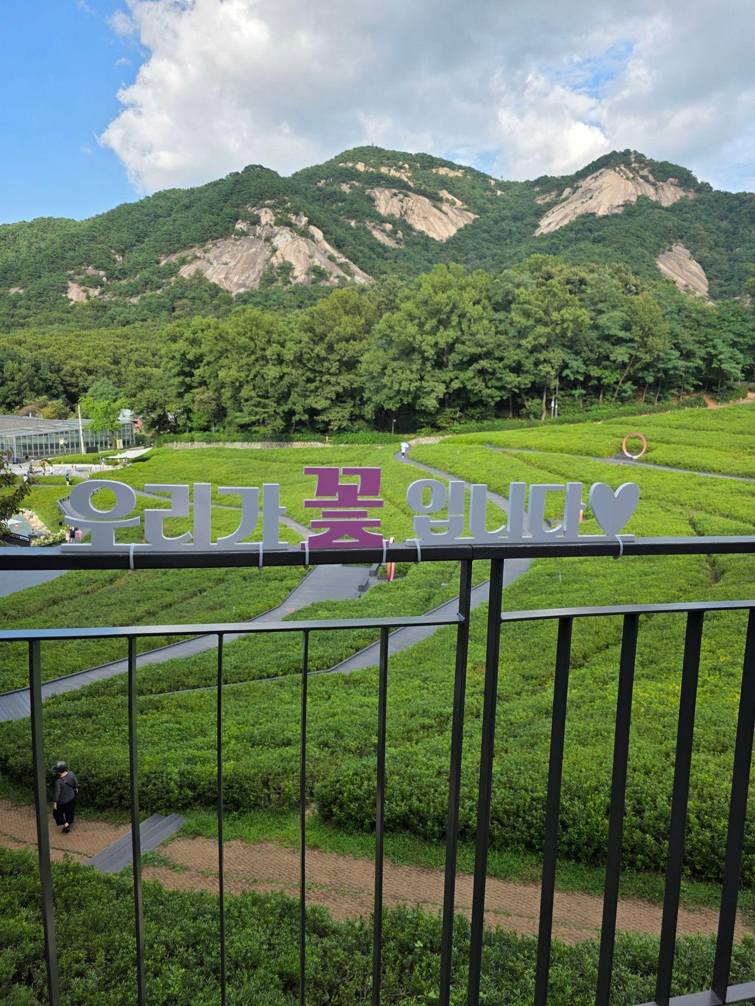 images/feeds/fdb154c95a334c7face5425ba46df82b