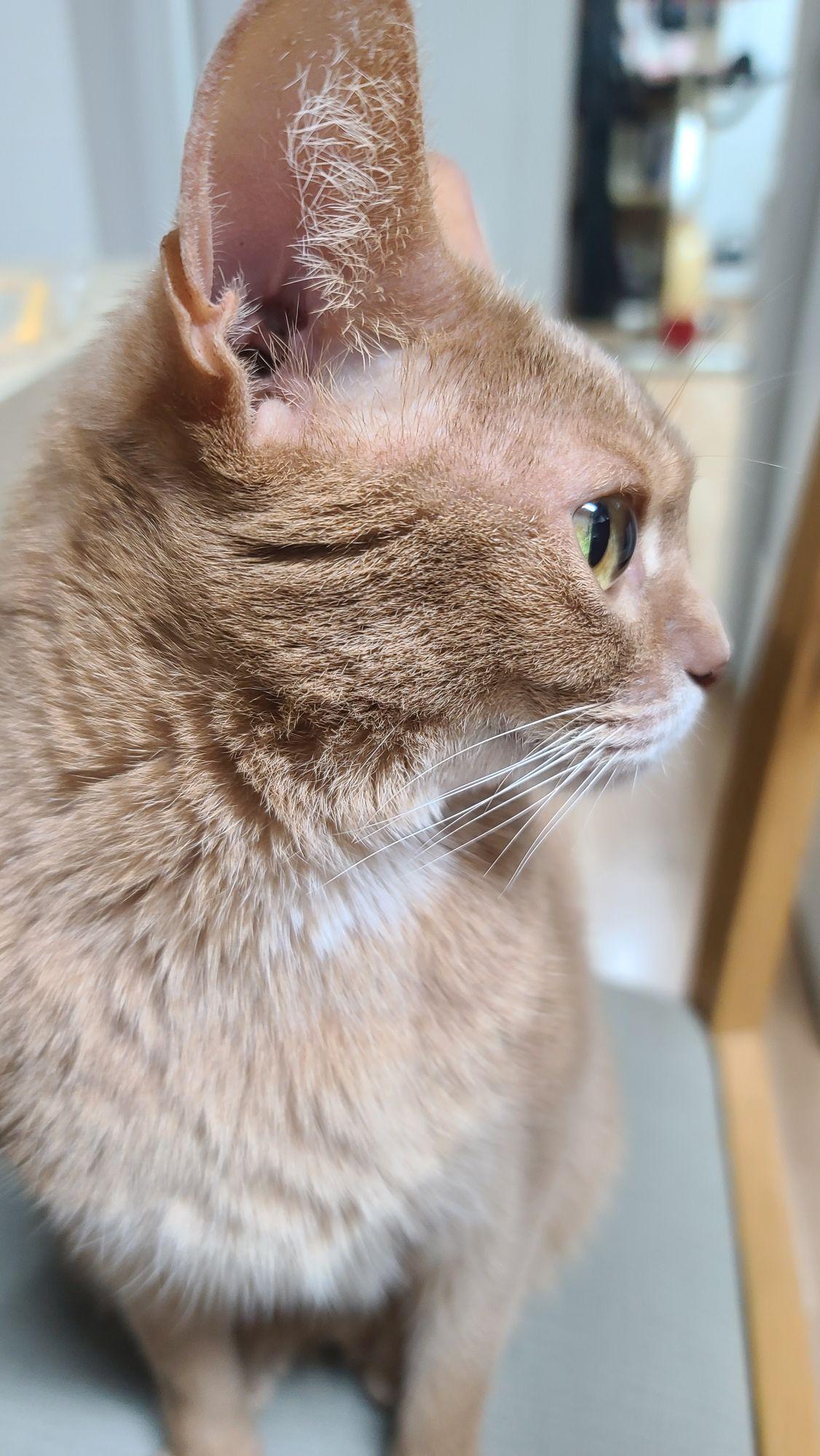 hero-profile